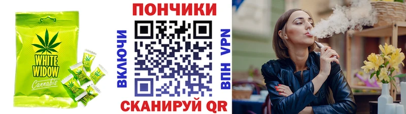 МЕГА ССЫЛКА  Светлогорск  Canna-Cookies конопля 