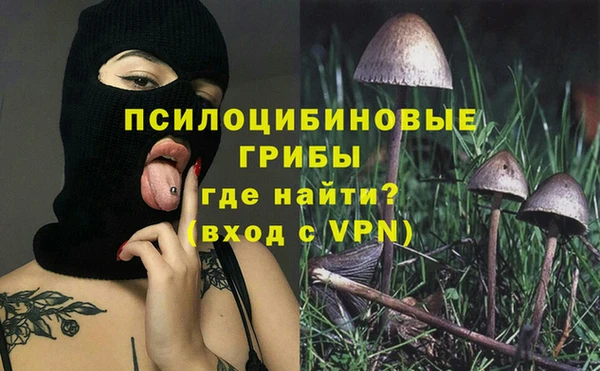 ALPHA PVP Беломорск