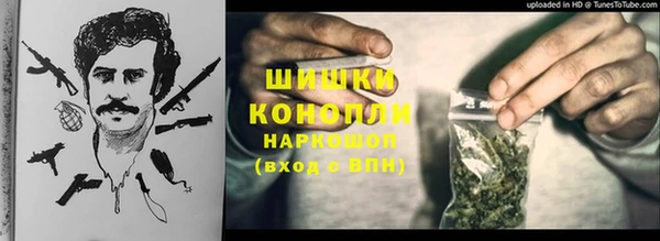 mdpv Белокуриха