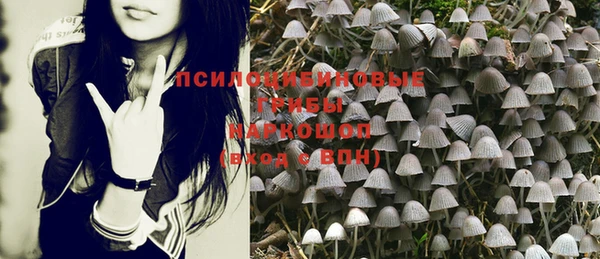 ALPHA PVP Беломорск