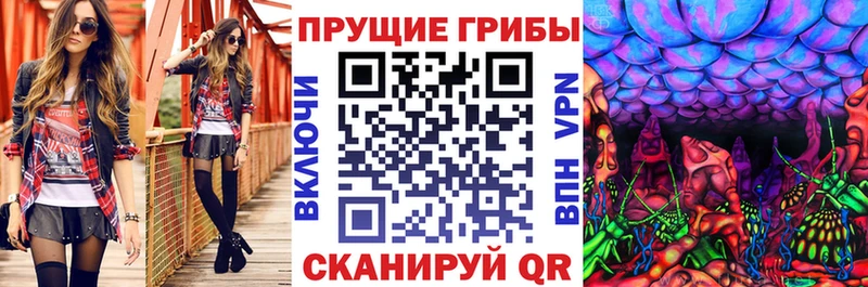 Галлюциногенные грибы ЛСД MEGA Светлогорск